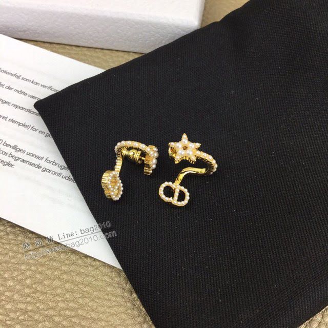 Dior飾品 迪奧經典熱銷款耳環耳釘  zgd1285